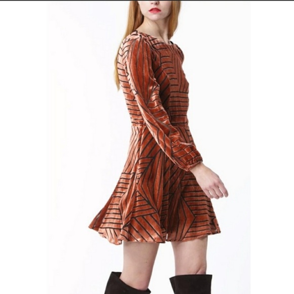 Line & Dot Nouveau Mini Swing Rust Dress - Picture 8 of 8